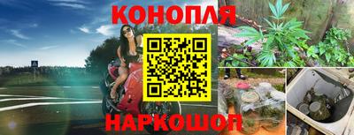 мдпв Канаш