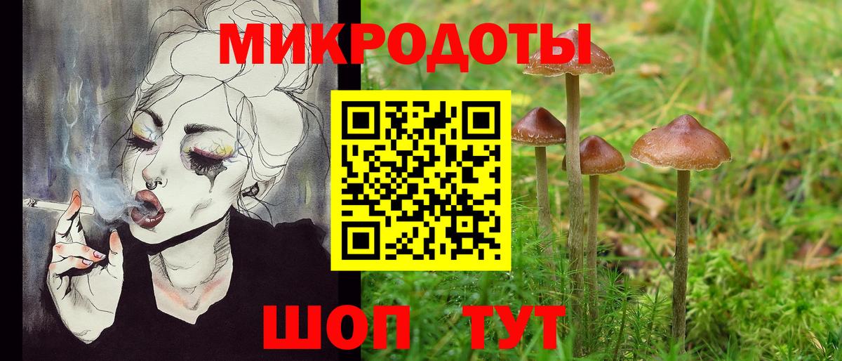Псилоцибиновые грибы мицелий Кузнецк