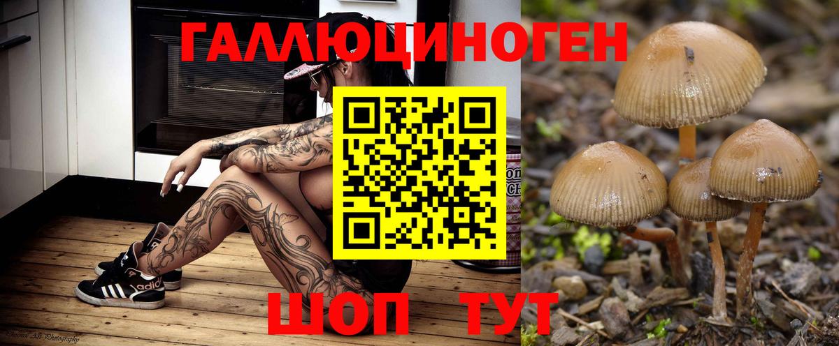 магазин продажи   Галлюциногенные грибы ЛСД  Вход с VPN  Кузнецк 